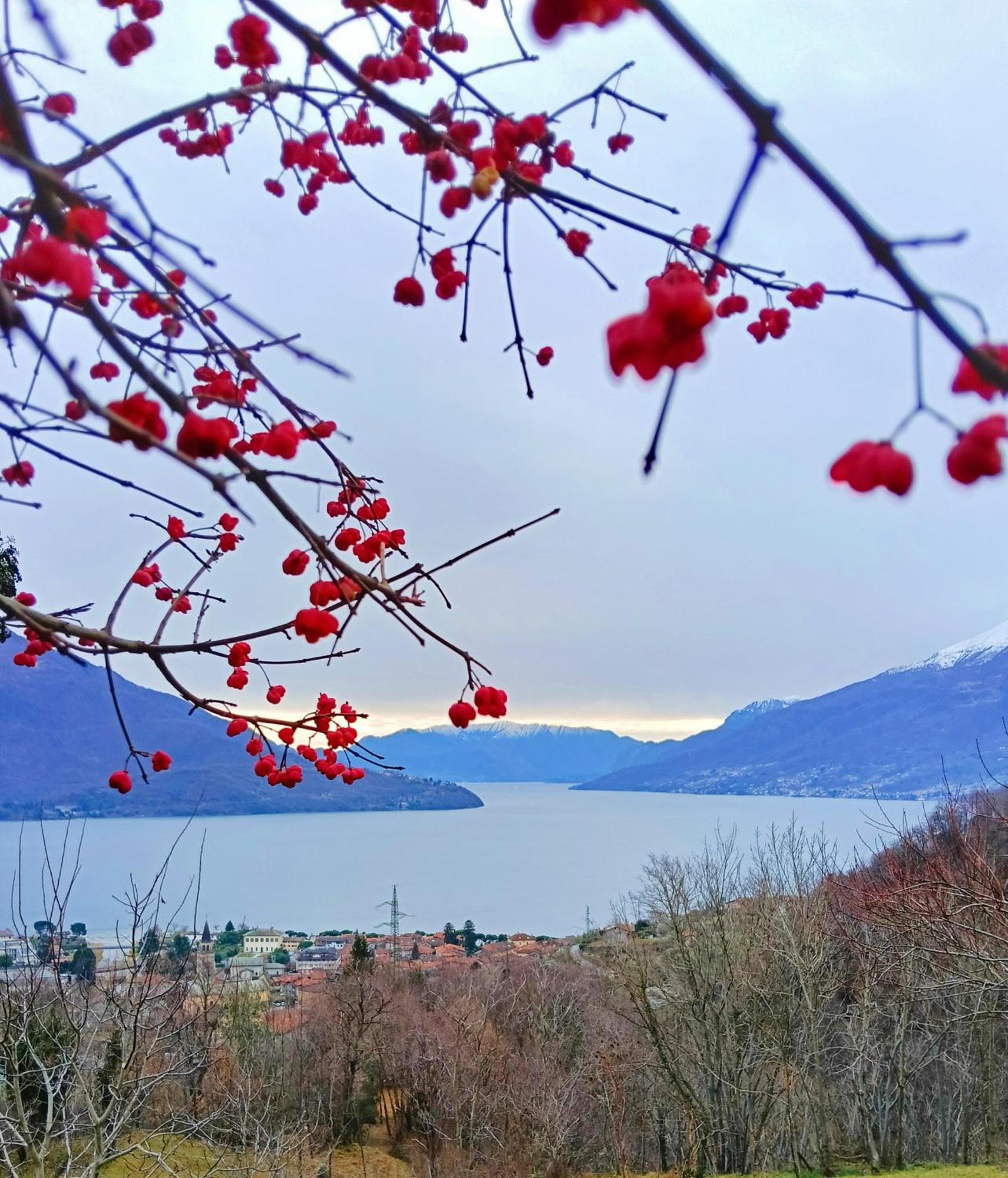 Lake Como Borgo Vignola Cremia Zewnętrze zdjęcie